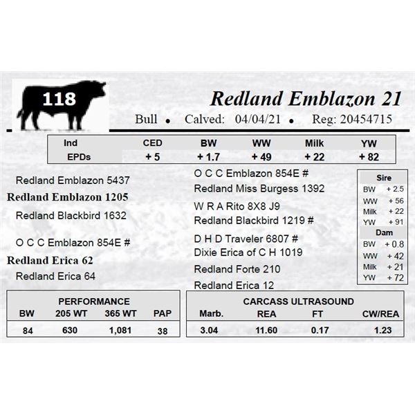Redland Emblazon 21