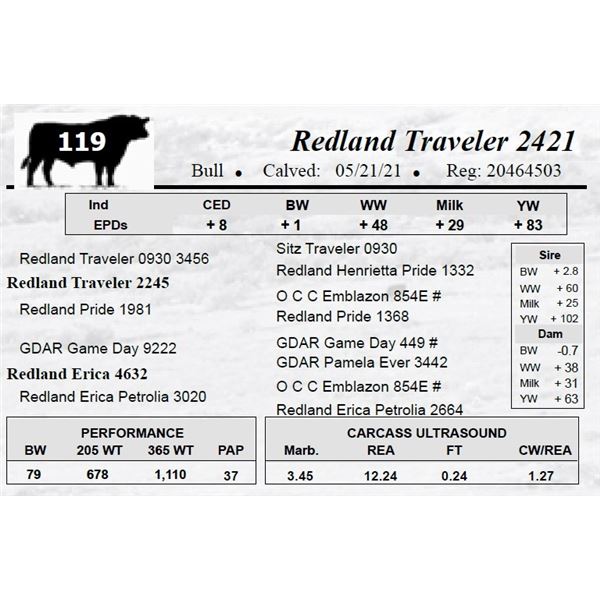 Redland Traveler 2421