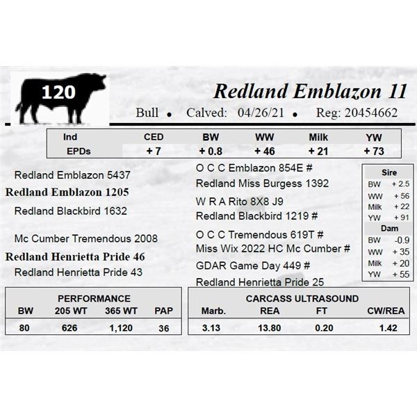 Redland Emblazon 11