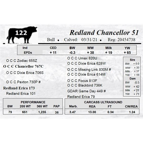 Redland Chancellor 51