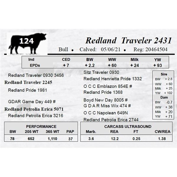 Redland Traveler 2431