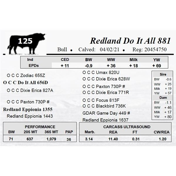 Redland Do It All 881