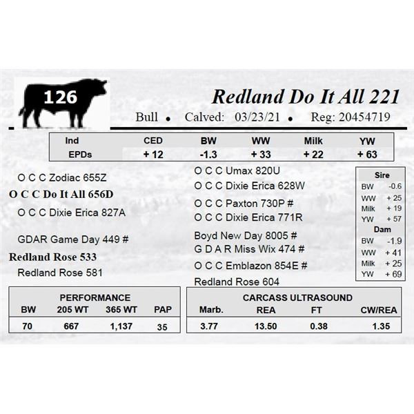 Redland Do It All 221