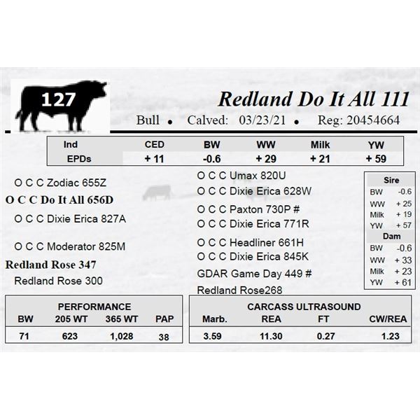 Redland Do It All 111