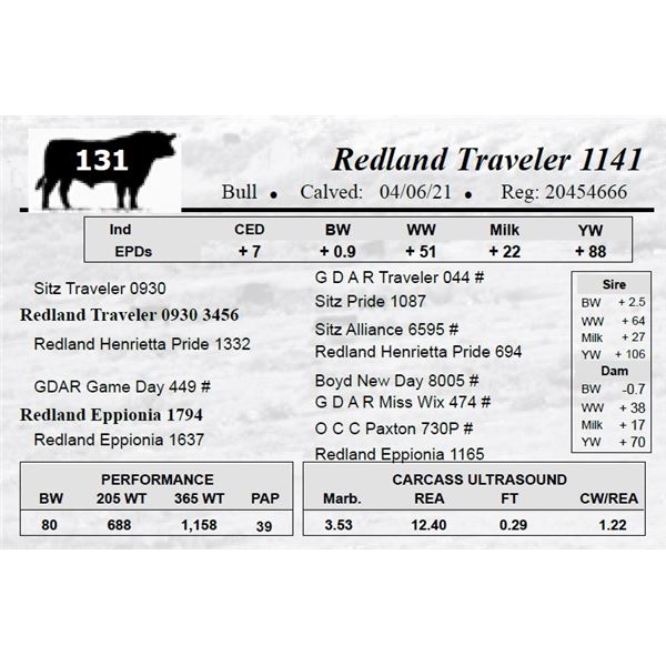 Redland Traveler 1141