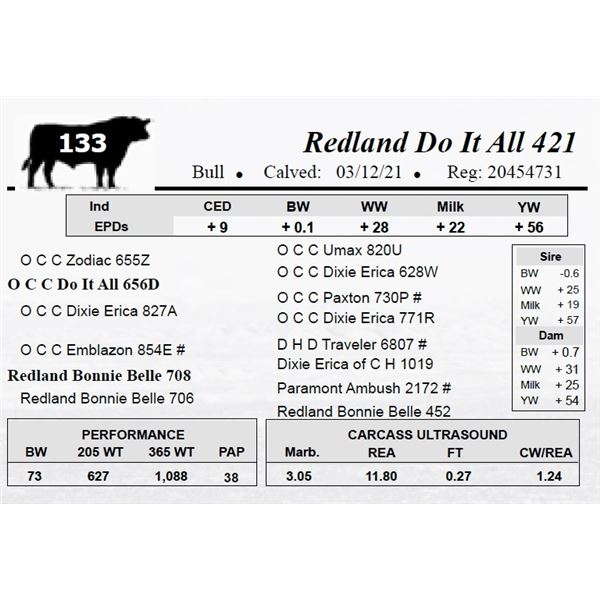 Redland Do It All 421