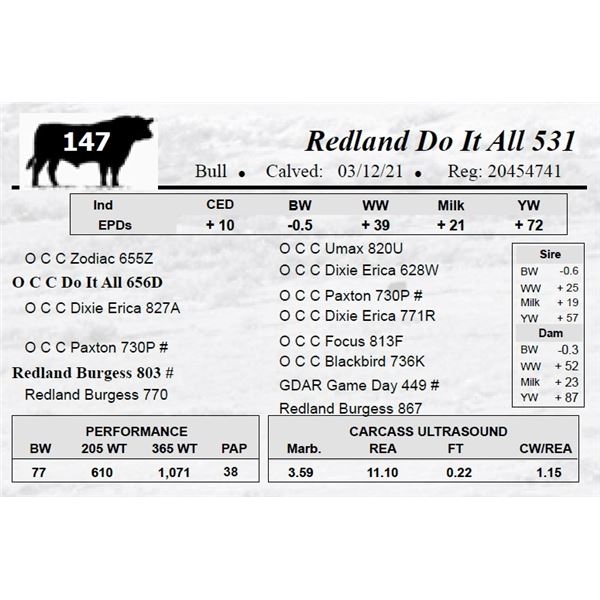 Redland Do It All 531
