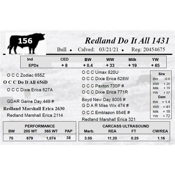 Redland Do It All 1431