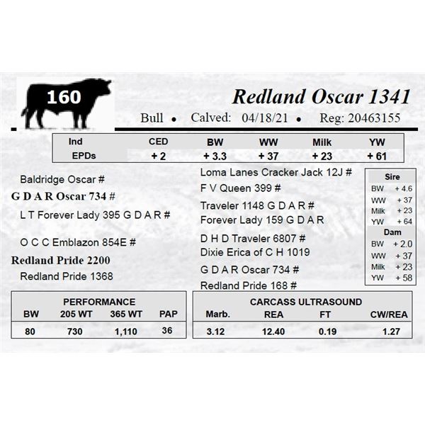 Redland Oscar 1341