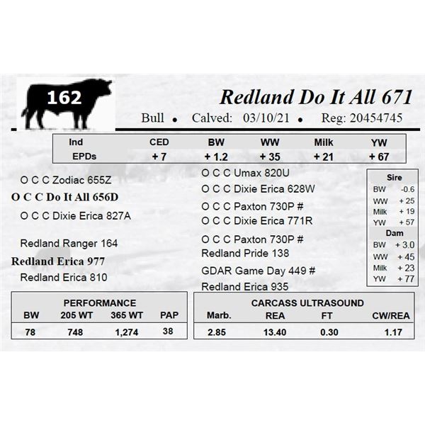Redland Do It All 671