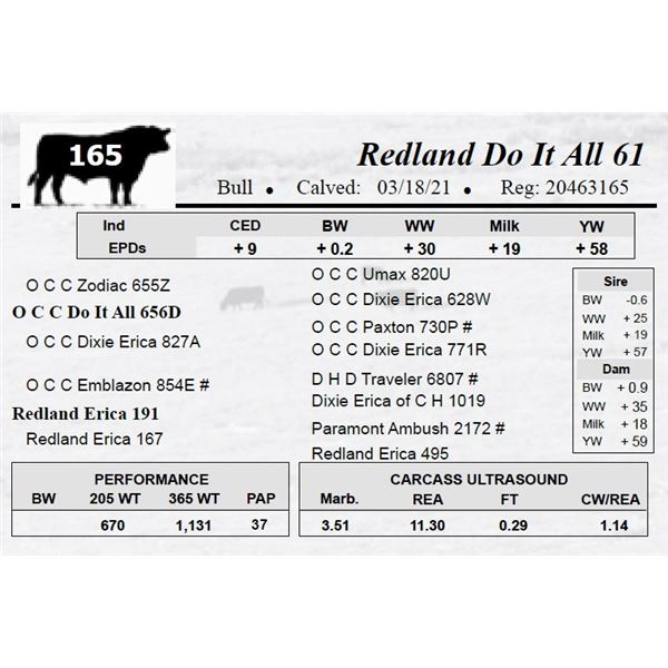 Redland Do It All 61