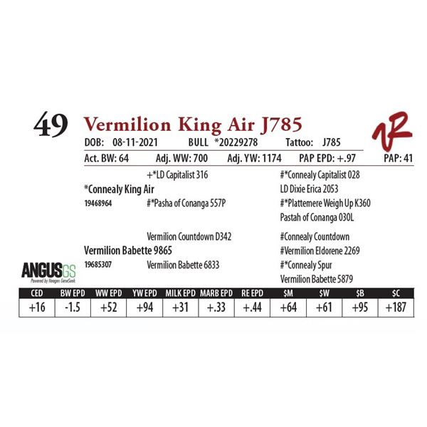 VERMILION KING AIR J785