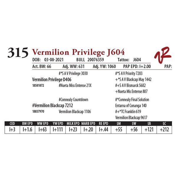 VERMILION PRIVILEGE J604