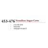Image 1 : 453-476 2 YR OLD VERMILION ANGUS COWS