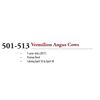 Image 1 : 501-513 5 YR OLD VERMILION ANGUS COWS