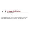 Image 1 : 44 ANGUS BRED HEIFERS