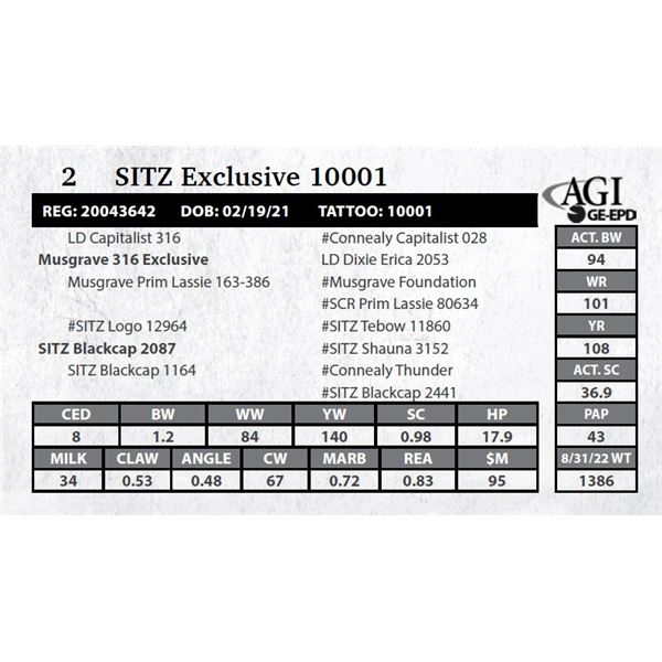 Sitz Exclusive 10001