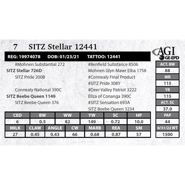Sitz Stellar 12441