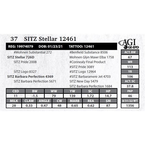 Sitz Stellar 12461