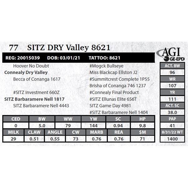 Sitz DRY Valley 8621