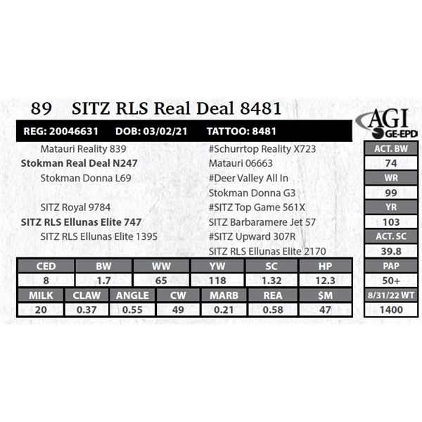 Sitz RLS Real Deal 8481