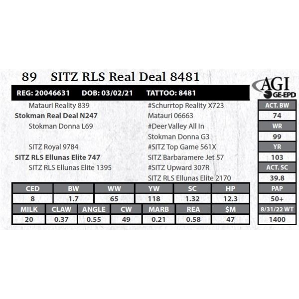 Sitz RLS Real Deal 8481