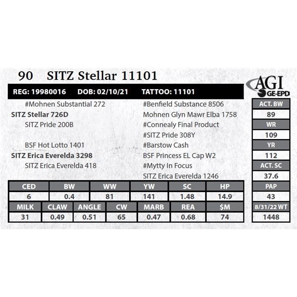 Sitz Stellar 11101