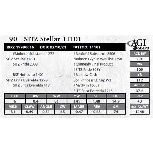 Sitz Stellar 11101