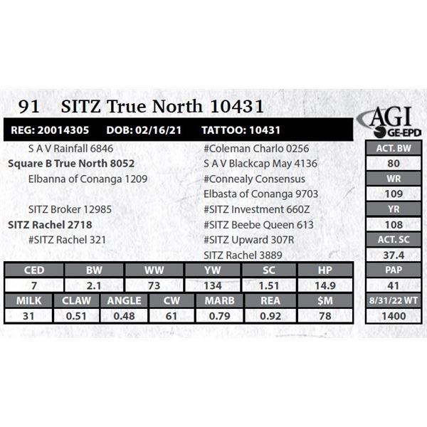 Sitz True North 10431