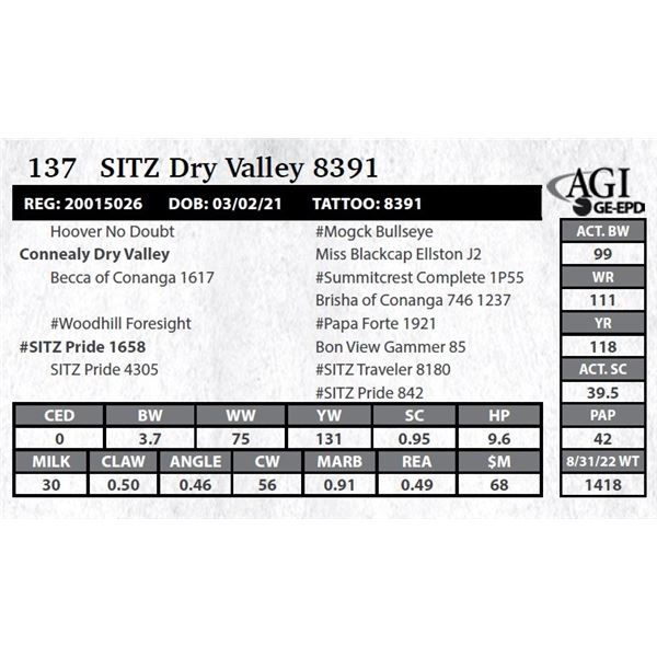 Sitz DRY Valley 8391