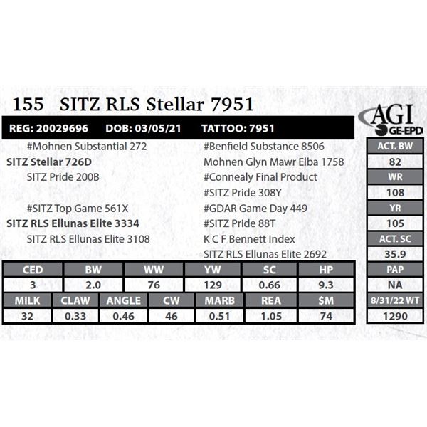 Sitz RLS Stellar 7951