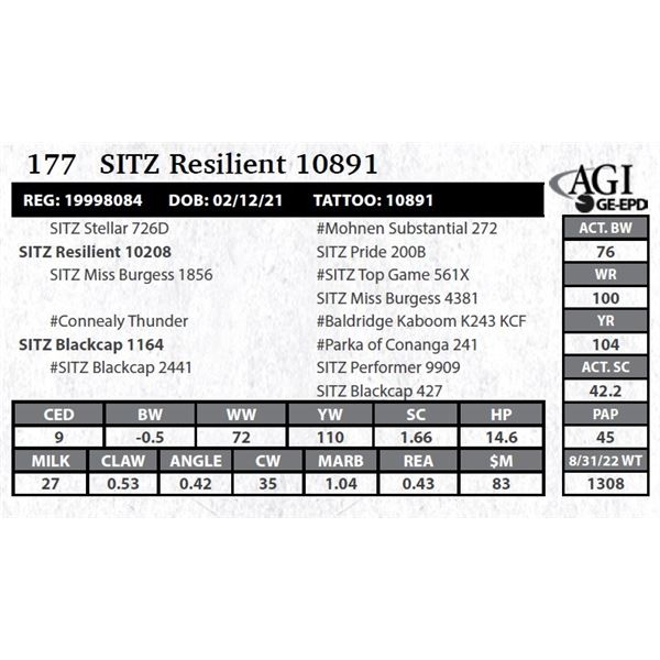 Sitz Resilient 10891