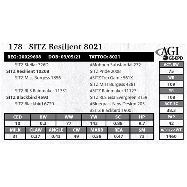 Sitz Resilient 8021