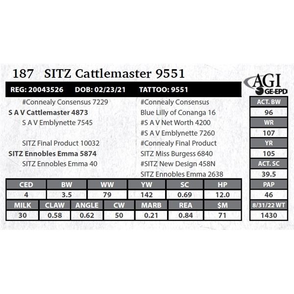 Sitz Cattlemaster 9551