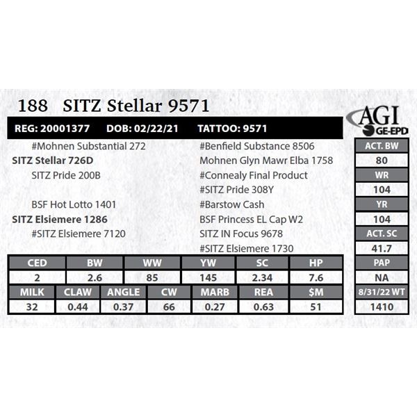 Sitz Stellar 9571