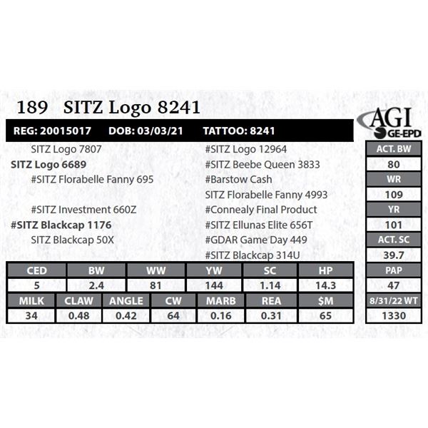 Sitz Logo 8241