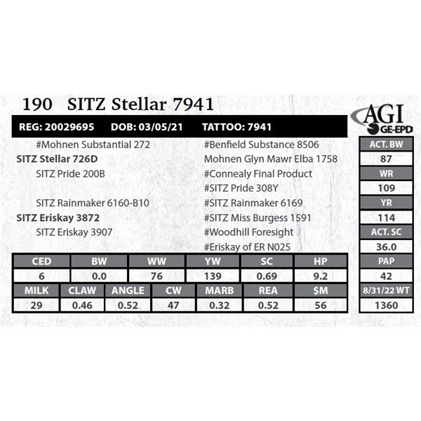 Sitz Stellar 7941