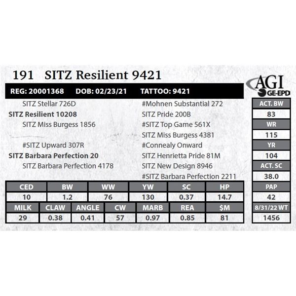 Sitz Resilient 9421