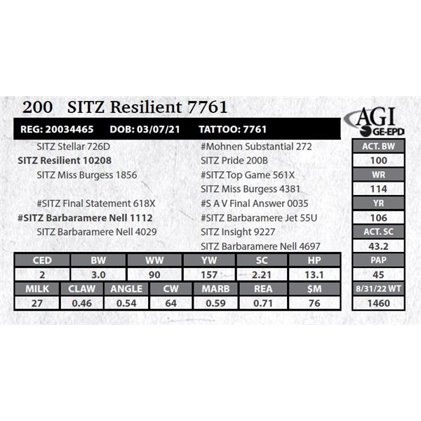 Sitz Resilient 7761