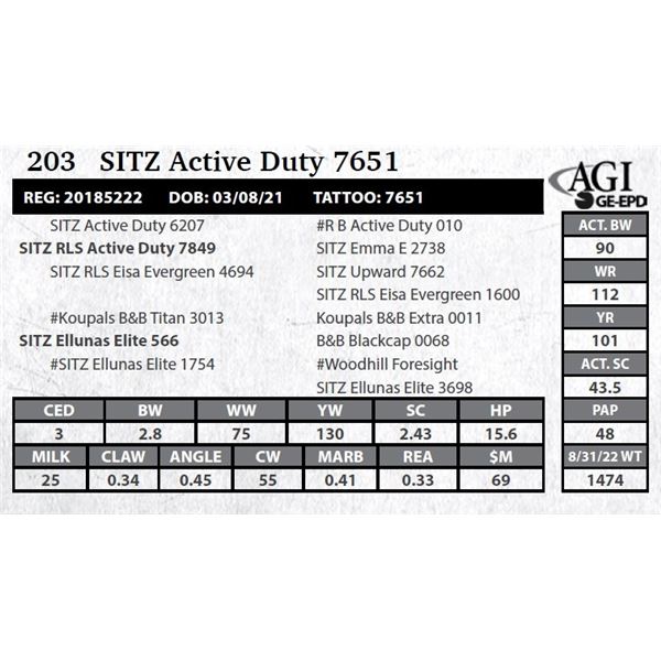 Sitz Active Duty 7651