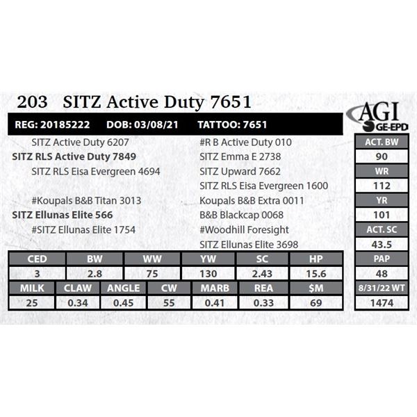 Sitz Active Duty 7651