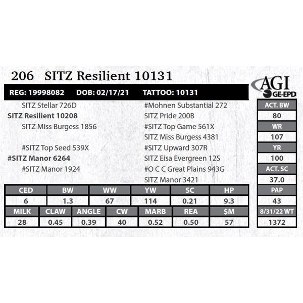 Sitz Resilient 10131