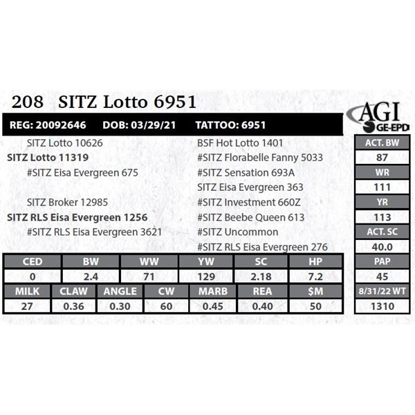 Sitz Lotto 6951