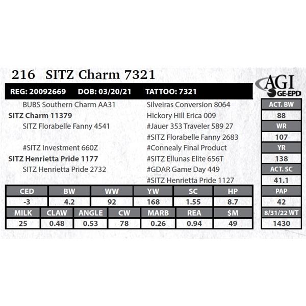 Sitz Charm 7321