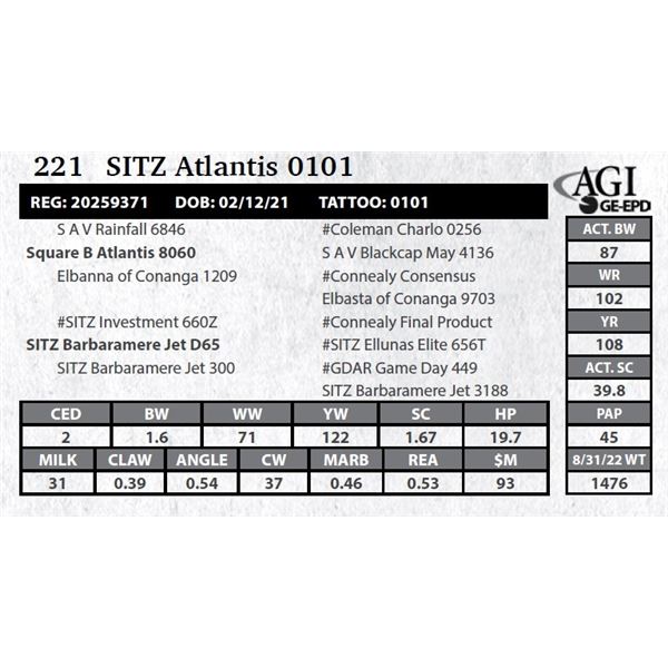 Sitz Atlantis 0101