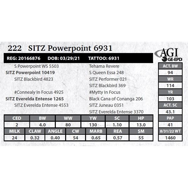 Sitz Powerpoint 6931
