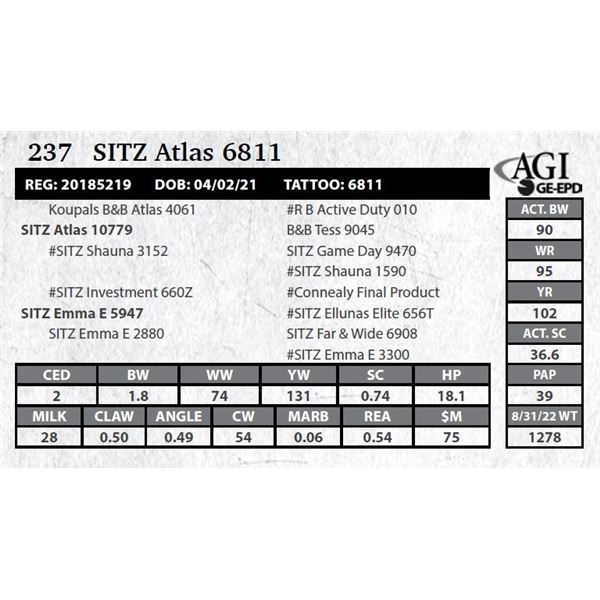 Sitz Atlas 6811