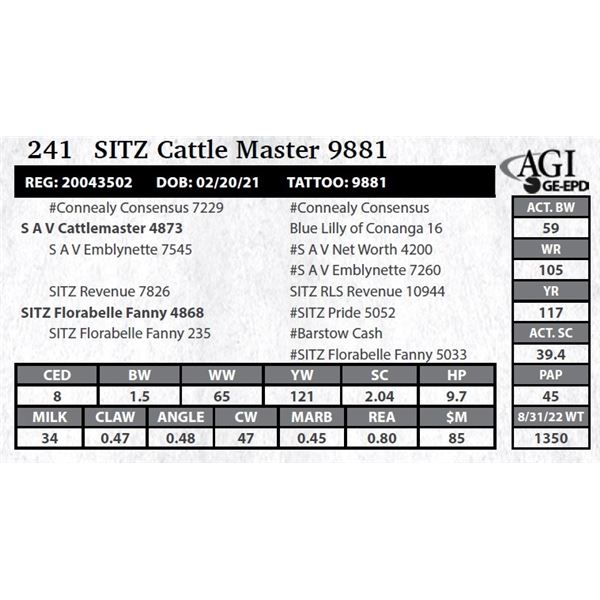 Sitz Cattle Master 9881