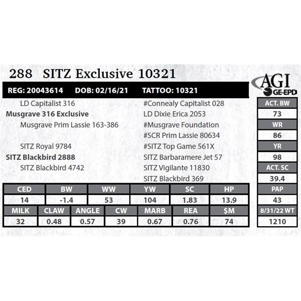 Sitz Exclusive 10321