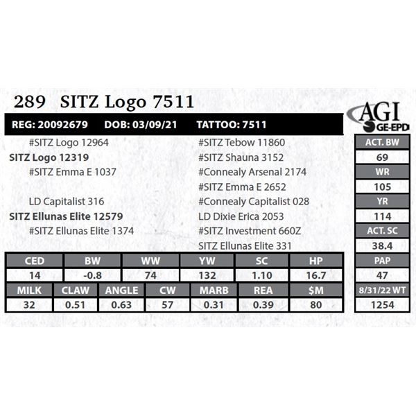 Sitz Logo 7511